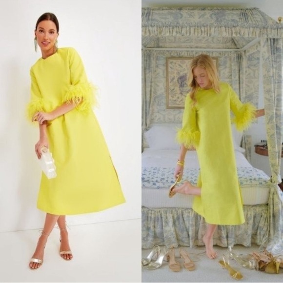 Tuckernuck Dresses & Skirts - Tuckernuck NEW Citron Feather Jamie Formal Party Midi Dress in Yellow Size XXS